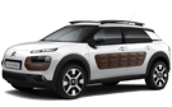 C4 Cactus